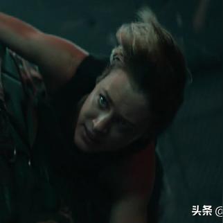春蛙秋蝉