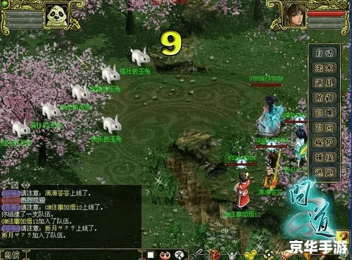 电脑版网游问道单机版跟择遇官方下载实践说明解析挑战版_v5.274,专业级工具深度解析